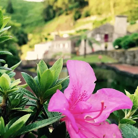 منزل ريفي Ribeira Dos Caldeiroes